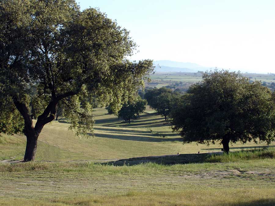 Club de Golf "El Espinar" (Segovia) - primer campo rústico homologado en España