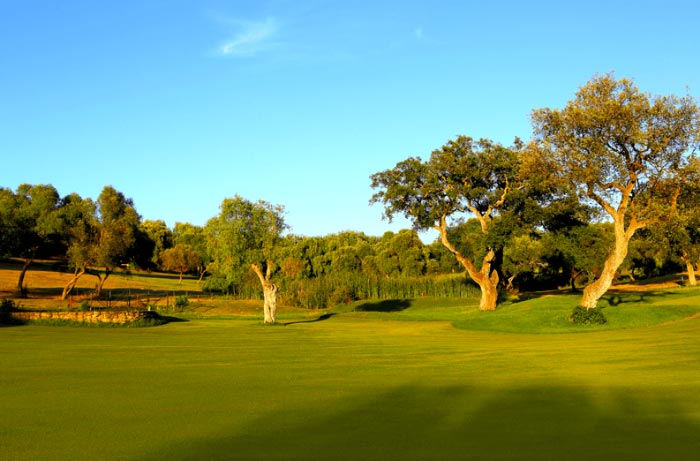 Vista del campo de golf Montenmedio | MundoGolf.golf