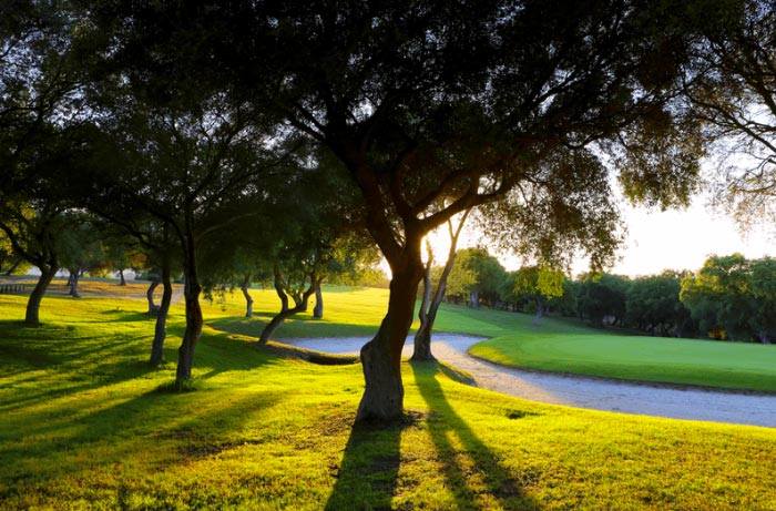 Relajante vista del campo de golf Montenmedio Golf y Country Club | MundoGolf.golf